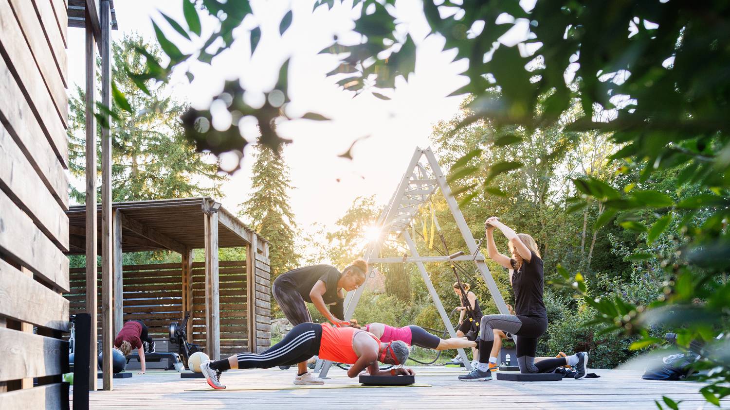 zinckernagel LIFE CHANGING TRAINING