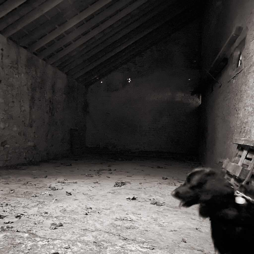 Der hintere Teil war fensterlos dunkel